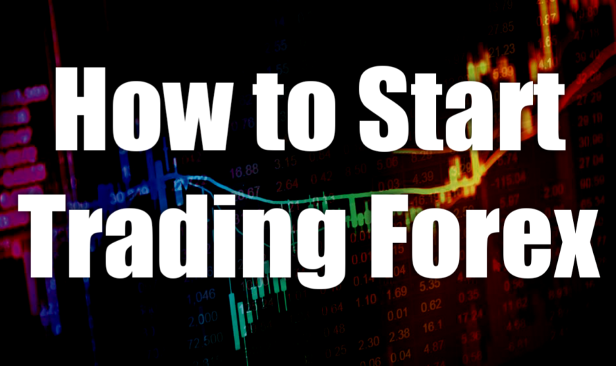 How to Begin Forex Trading: A Beginners Guide