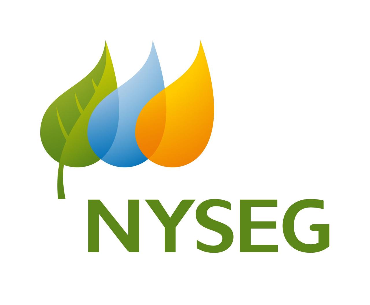 Electric company nyseg