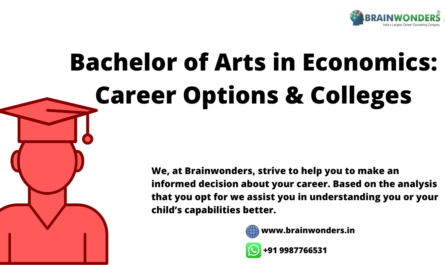 Bachelor degree in economics