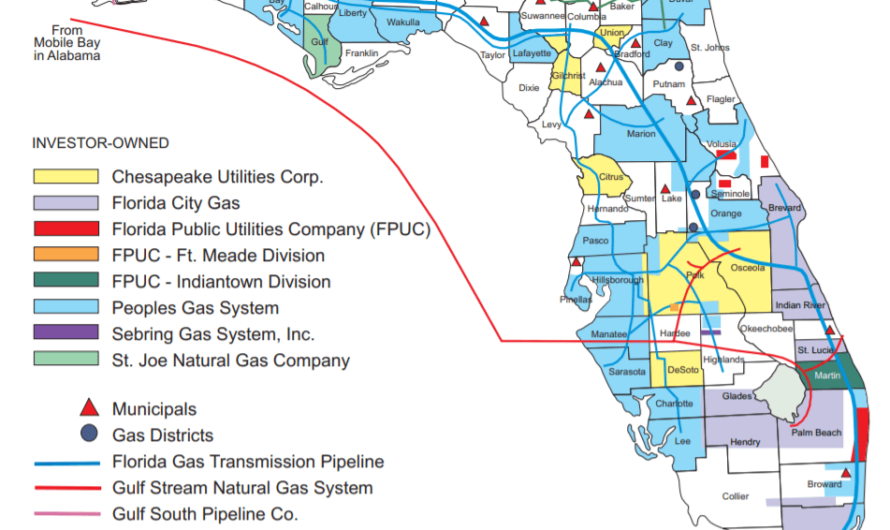 Florida Electric Company: Powering Floridas Future