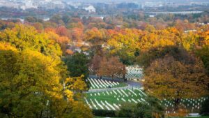 Arlington cemetery national cemetary jannsen brian washington dc usa getty do photograph women mg trees army pilot cherry female delimont