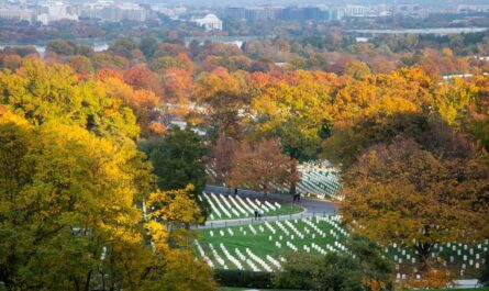 Arlington cemetery national cemetary jannsen brian washington dc usa getty do photograph women mg trees army pilot cherry female delimont