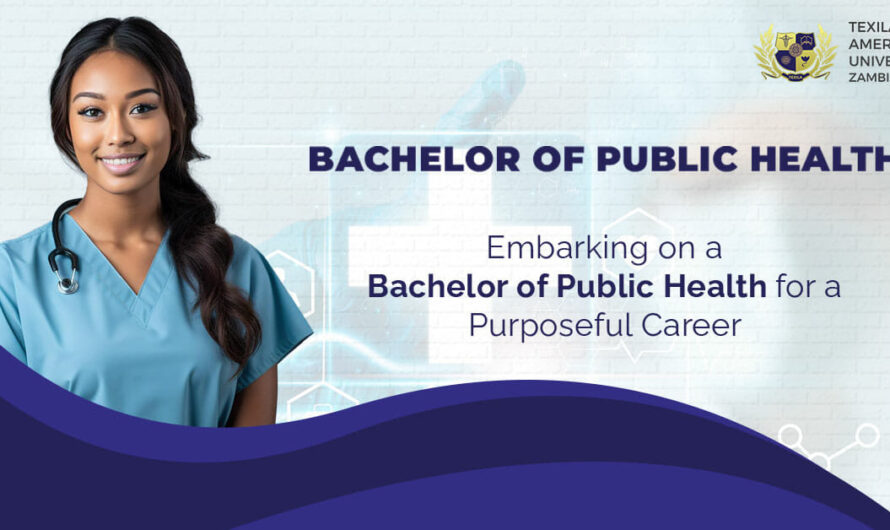 Bachelors Degree in Public Health: A Path to Impactful Careers