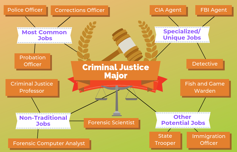 I have a bachelor's degree in criminal justice now what