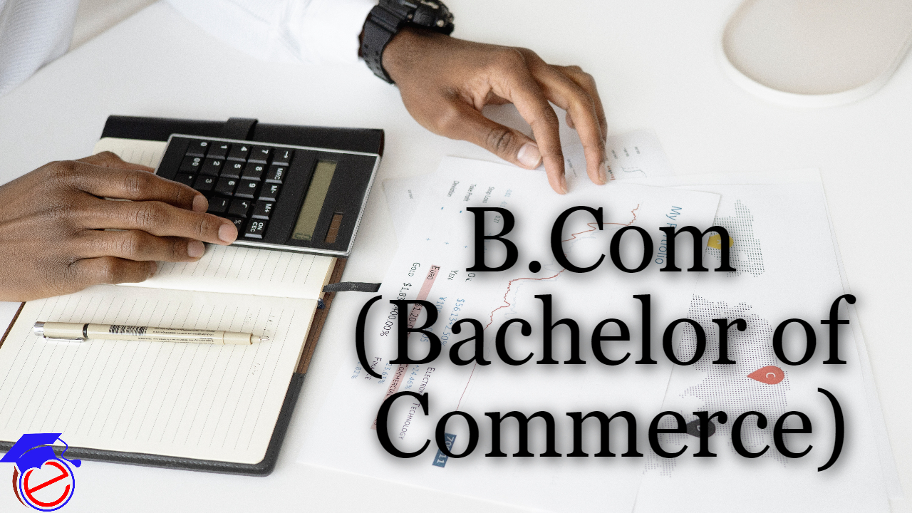 Bachelor degree in commerce