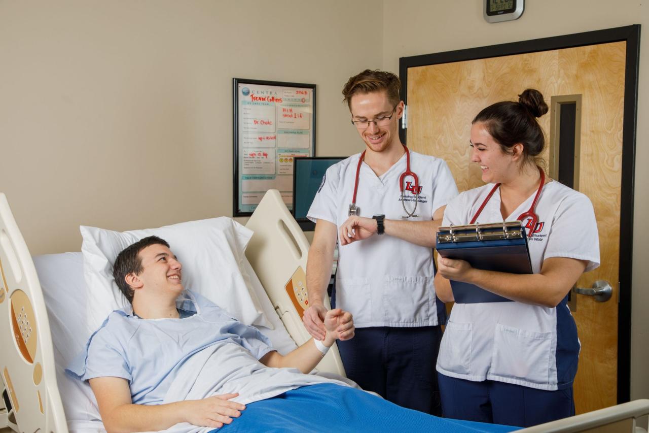 Bachelor of nursing online degree