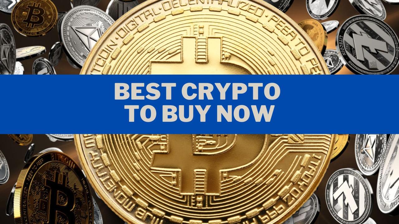 Which crypto to buy today