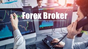 Brokers forex