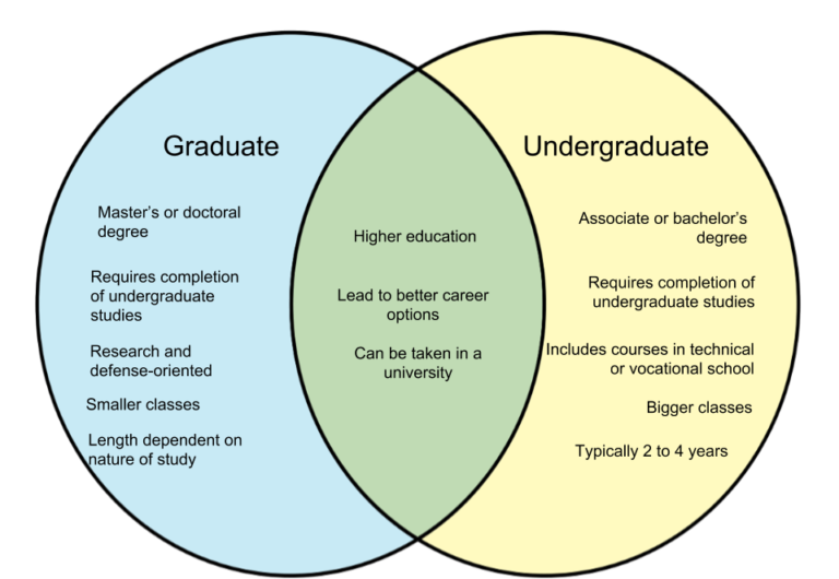 Is an Undergraduate Degree a Bachelors?