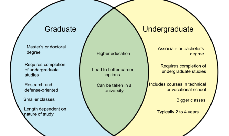 Is a Bachelors Degree an Undergraduate Degree?