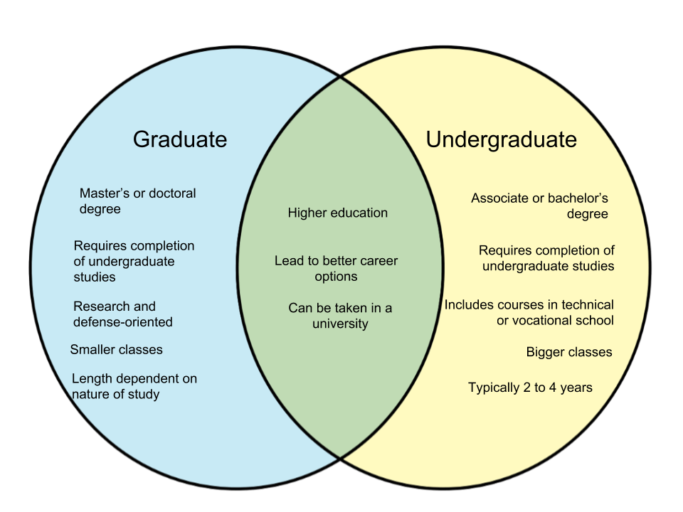 Is bachelor degree an undergraduate