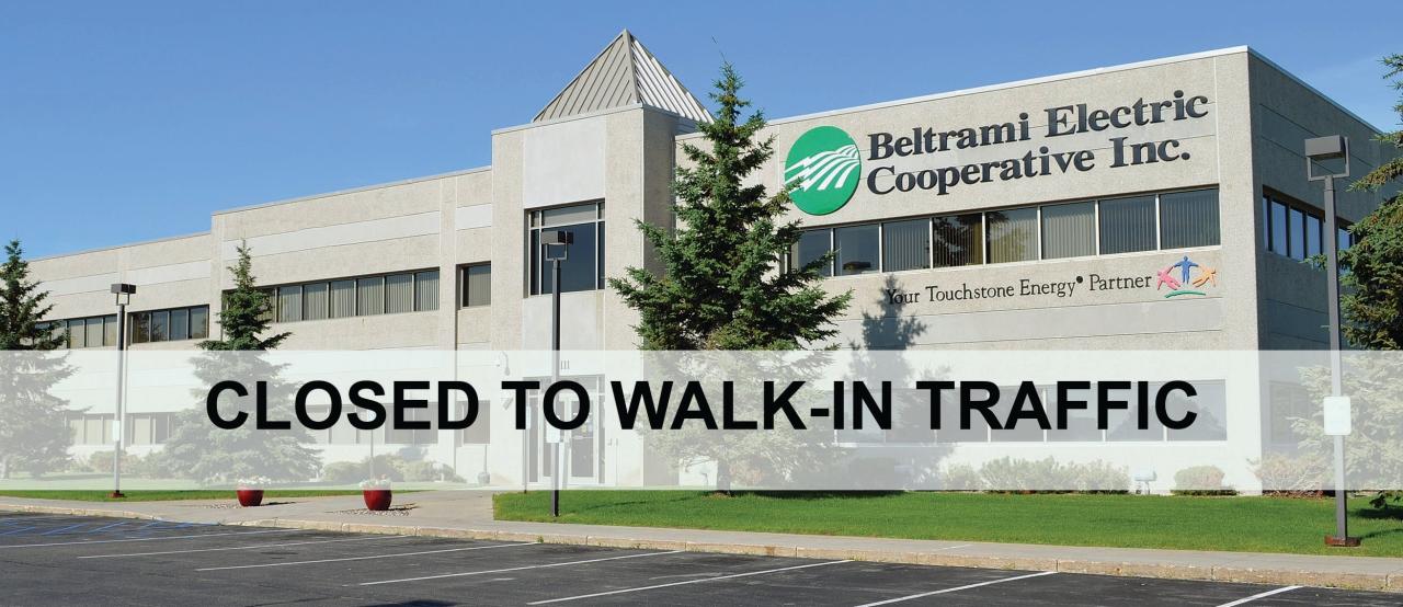 Beltrami electric company