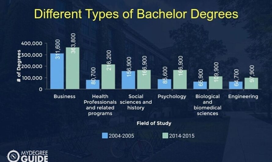 Bachelors Degree: Your Gateway to University Success