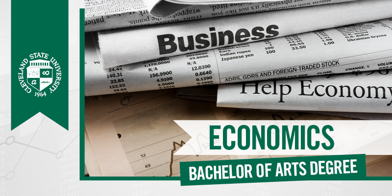 Bachelor degree in economics