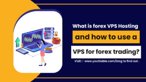 Vps forex instaforex hosting trading clients offers service its