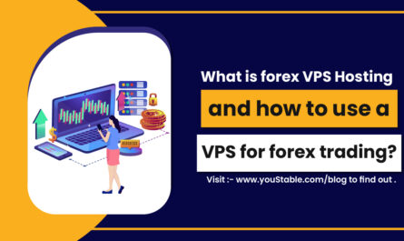 Vps forex instaforex hosting trading clients offers service its