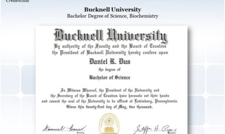 Bachelor in science degree