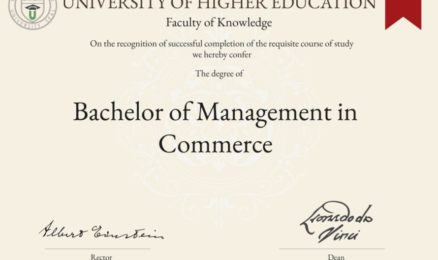 Bachelor of Management Degree: Your Path to Leadership