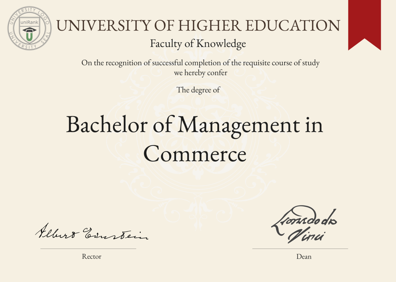 Bachelor of management degree