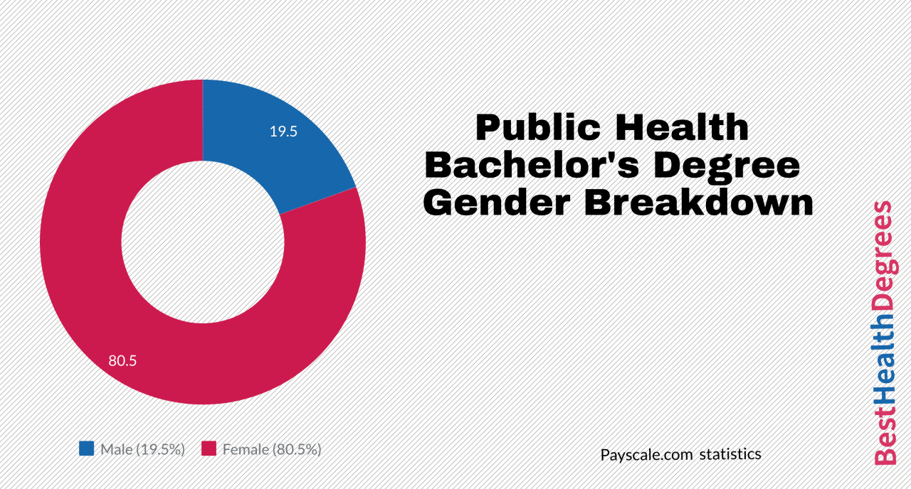 Bachelor degree in public health