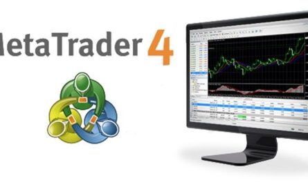 Forex broker metatrader forexboat plataforma mt4 piattaforma iniciantes principianti principiantes negociação leader