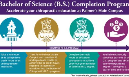 How many credits are needed for a bachelor's degree