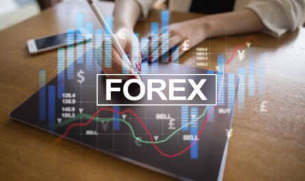 Forex review trading bonus brokers overall rating 2021 investopedia