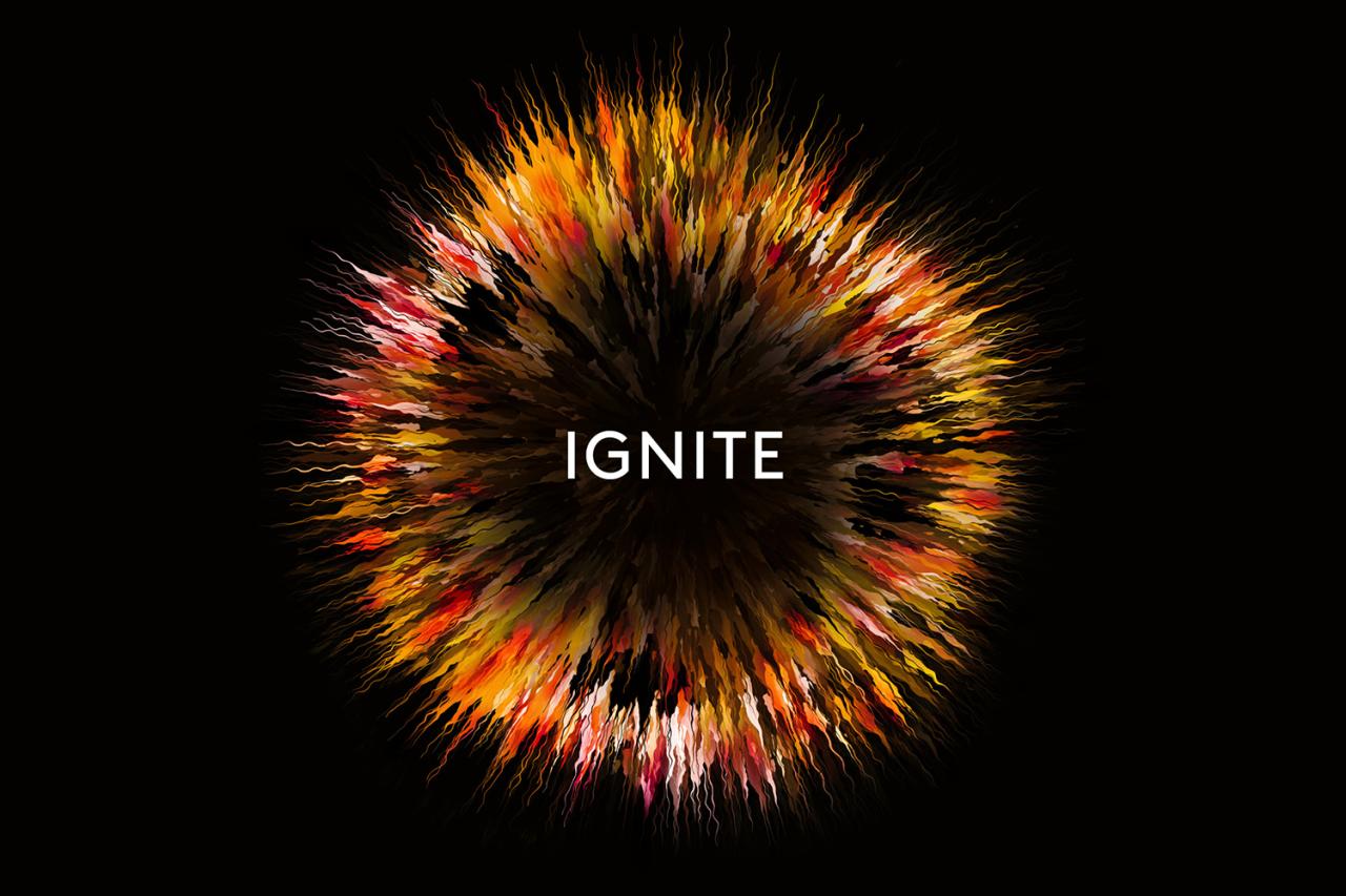 Ignite electric company