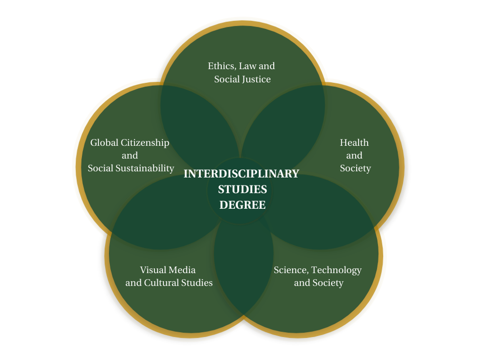 Bachelor's degree in interdisciplinary studies