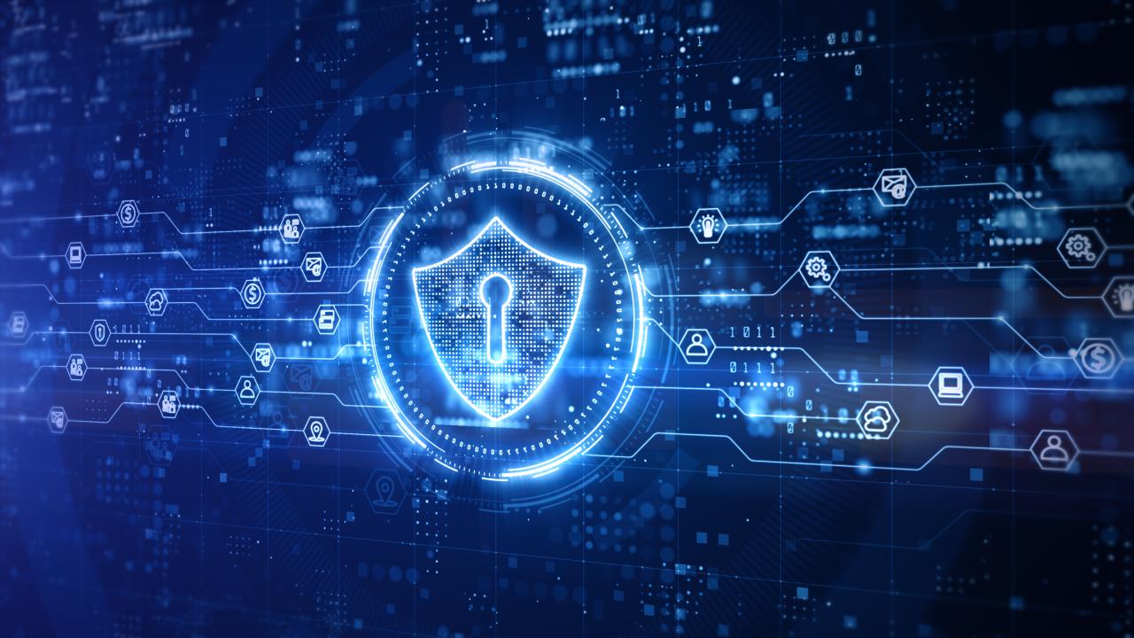 Cyber security bachelor's degree