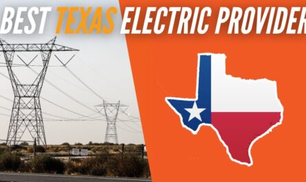 Texas electric company choices