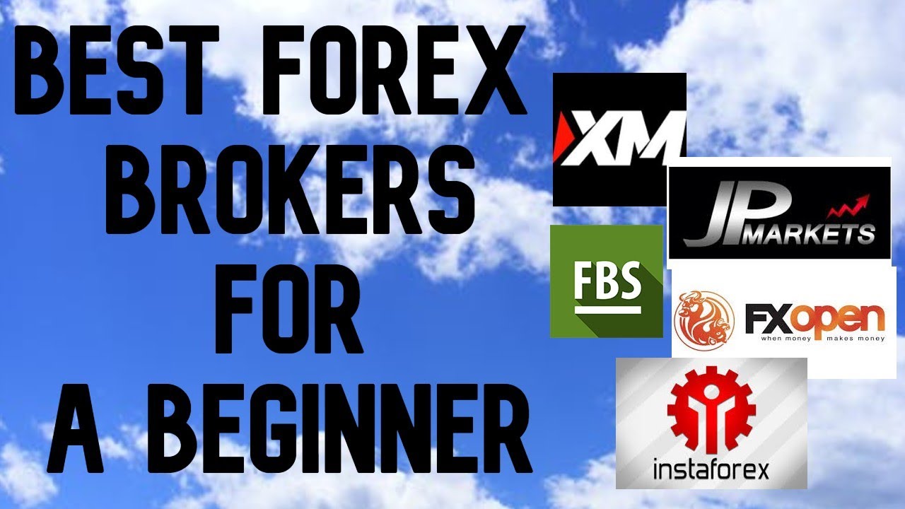 Forex brokers