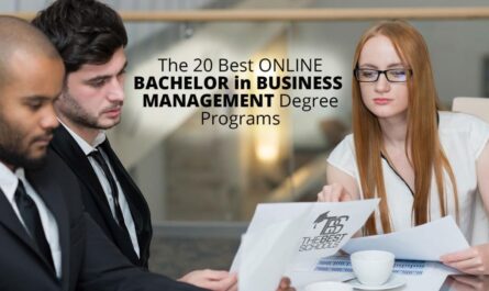 Online business management degree bachelor programs bachelors finance cheap