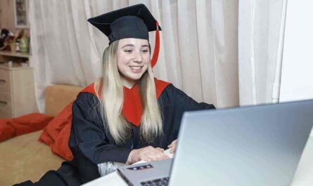 Bachelor degree education online