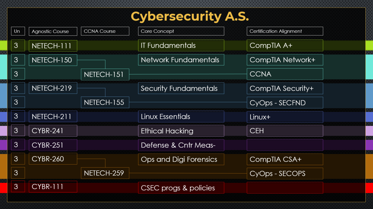 Cybersecurity degrees alternatives started