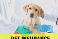 Pet insurance