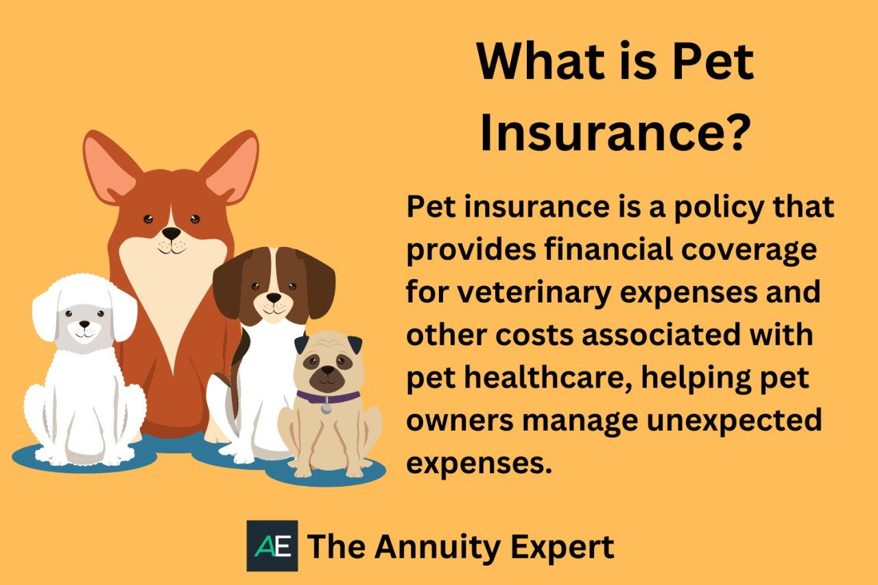 Pet insurance affordable