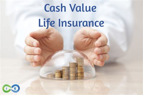 best cash value life insurance