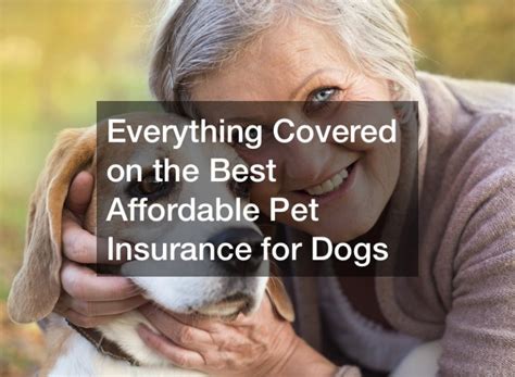 cheapest pet insurance for dogs