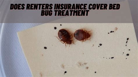renters insurance cover bed bugs