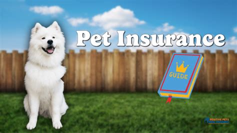 pet insurance sam's club