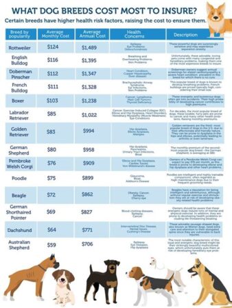 pet insurance for dogs cost