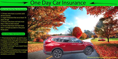 1 day insurance car